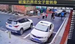 娄底女司机被爆料了视频,真相与争议并存