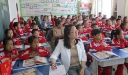 石家庄新学生爆料新闻,校园新鲜事速递